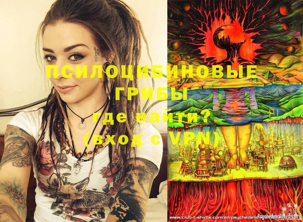 тгк Кукмор